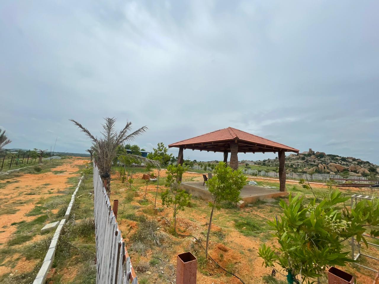 Kodikonda Hills Farm Land near Bangalore